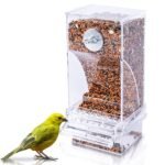 Automatic feeder Transparent