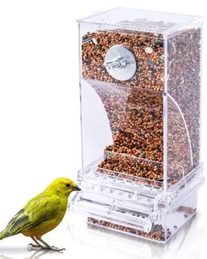 Automatic feeder Transparent