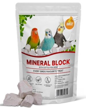 Mineral Block and Calcium