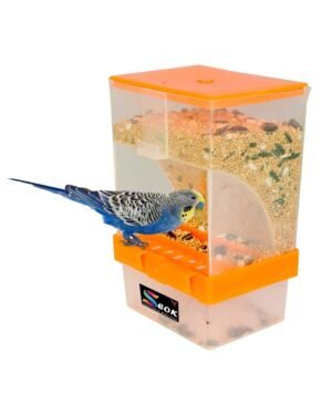 Automatic Bird Feeder