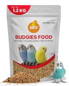 Bird Food Seed Kangani