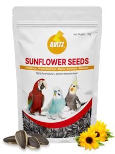 Premium Sunflower Seeds