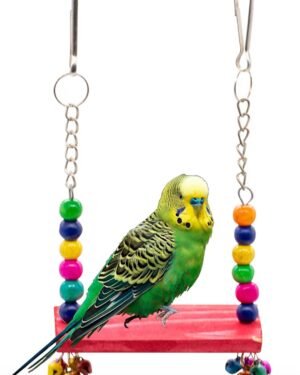 Interactive Playful Wooden Perch Swing