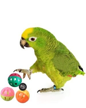 Interactive Bell Ball Bird Toy