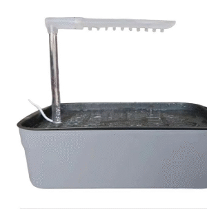 Electric Birds Bathtub Shower