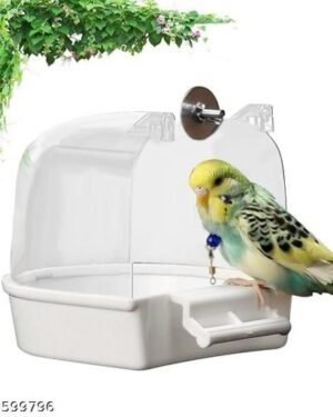 Bird bath for small birds