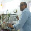 Clean cage for happy bird