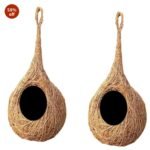 Organic Bird nest Purely Handmade
