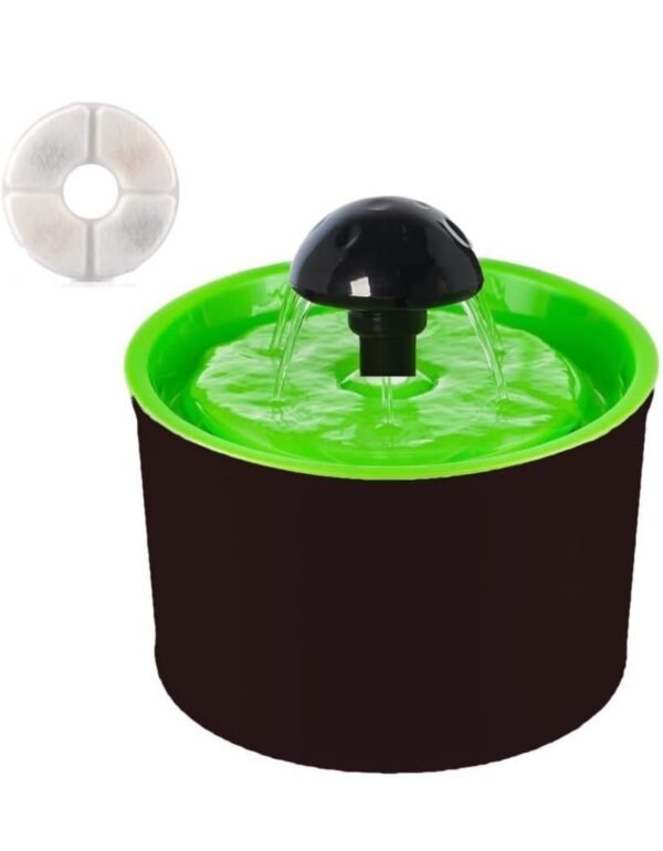Water Fountain