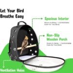 Travel cage bagpack