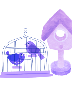 Cages Nests Homes
