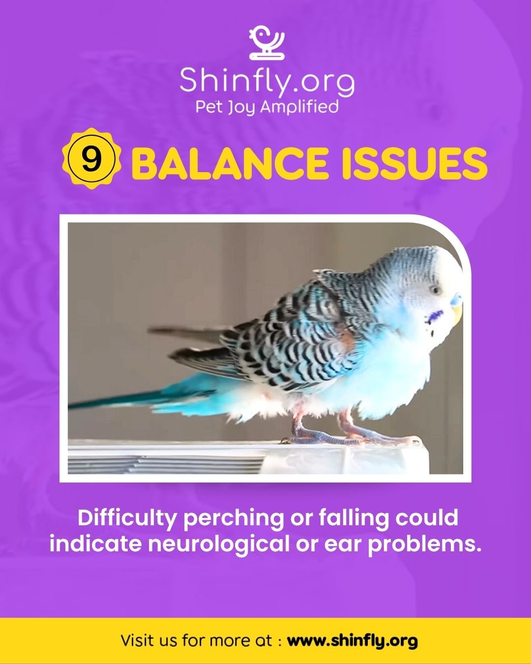 Signs of a sick bird - balance issues