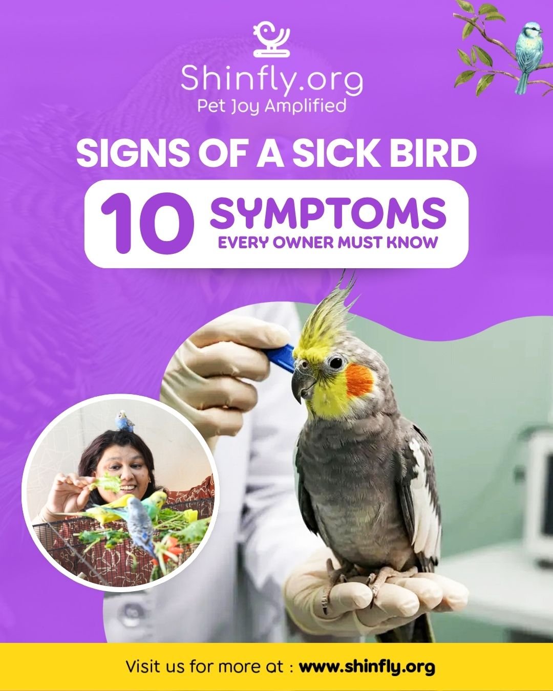 Signs of a sick bird