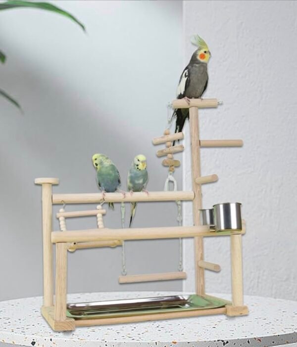 CALANDIS™ Wood Bird Play Stand - Image 2