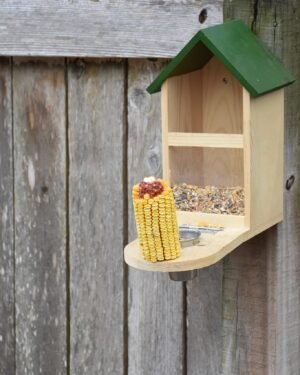 Toys Feeders Perches