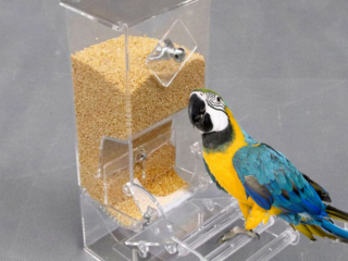 Bird-Automatic-Feeder-Pet-Food-Station-Ontainer-Fo