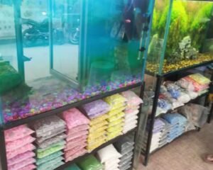 Guruji-fish-aquarium-e-Sunayana