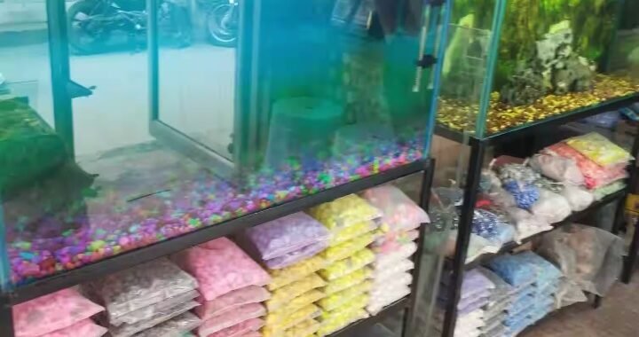 Guruji Fish Aquarium and Pets
