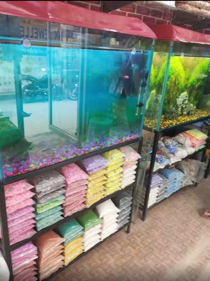 Guruji Fish Aquarium and Pets