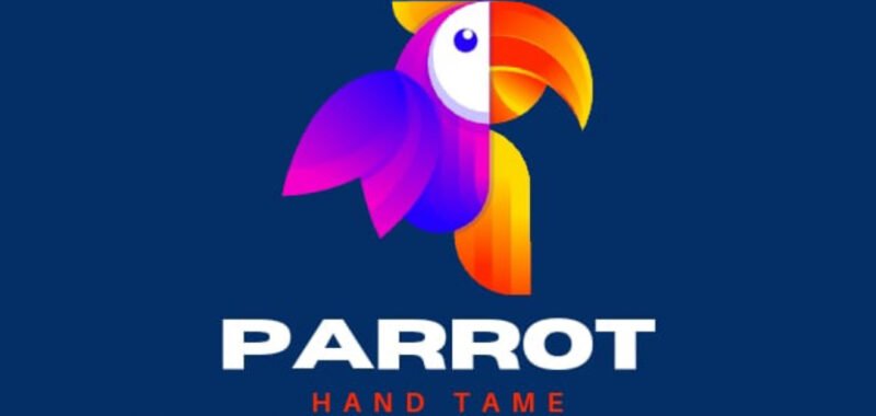 Parrot Hand Tame Gourav