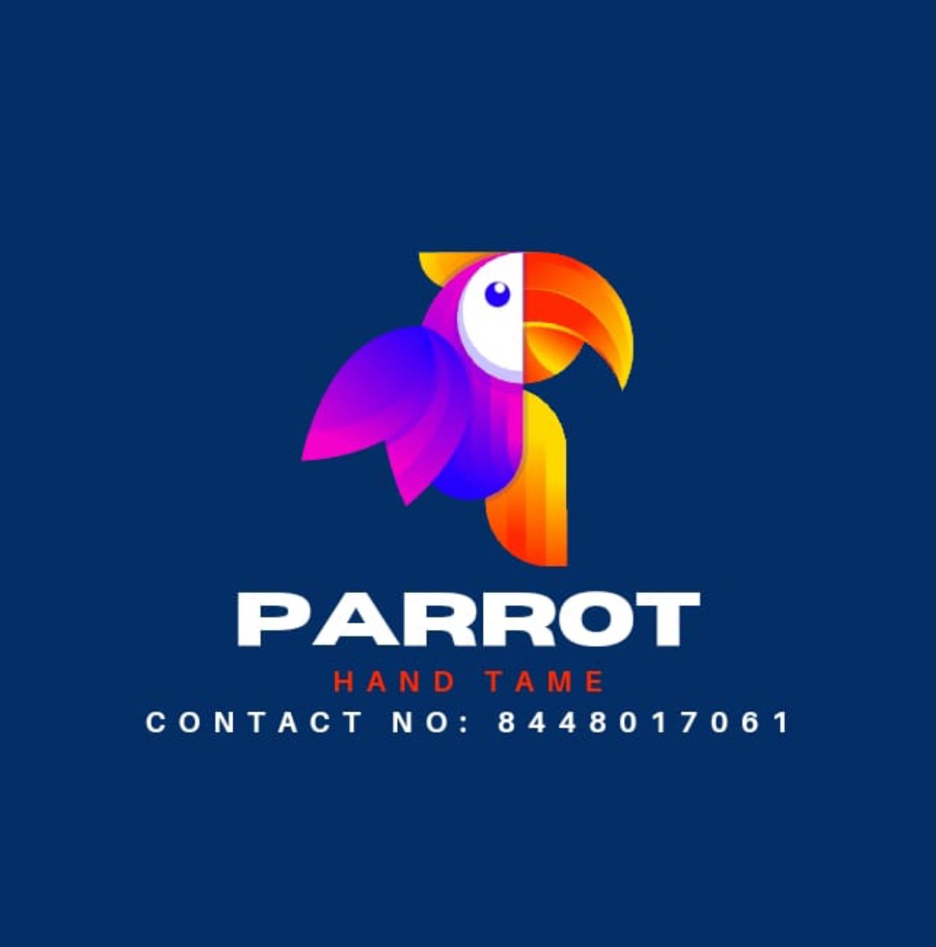 Parrot Hand Tame Gourav