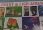 Mukul Fish Aquarium Pet Point