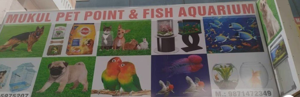 Mukul Fish Aquarium Pet Point