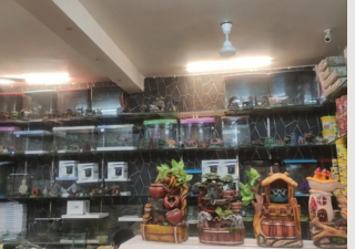Water Queen Aquariums