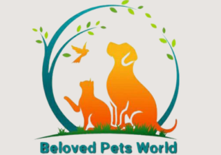 Beloved pets world