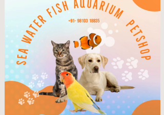 Sea Water World Fish Aquarium & Pet Shop