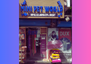 Mini Pet World