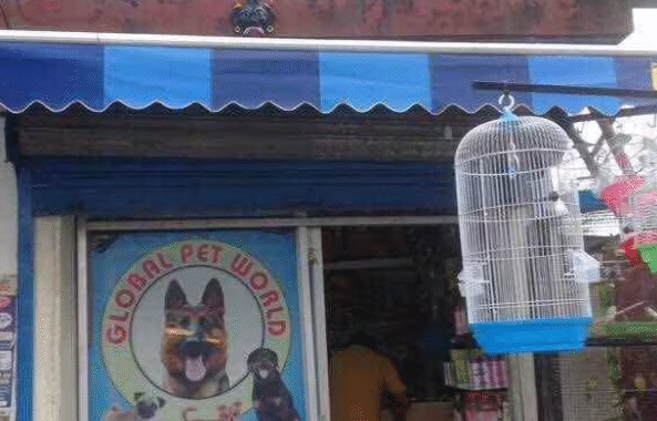 Global Pet World