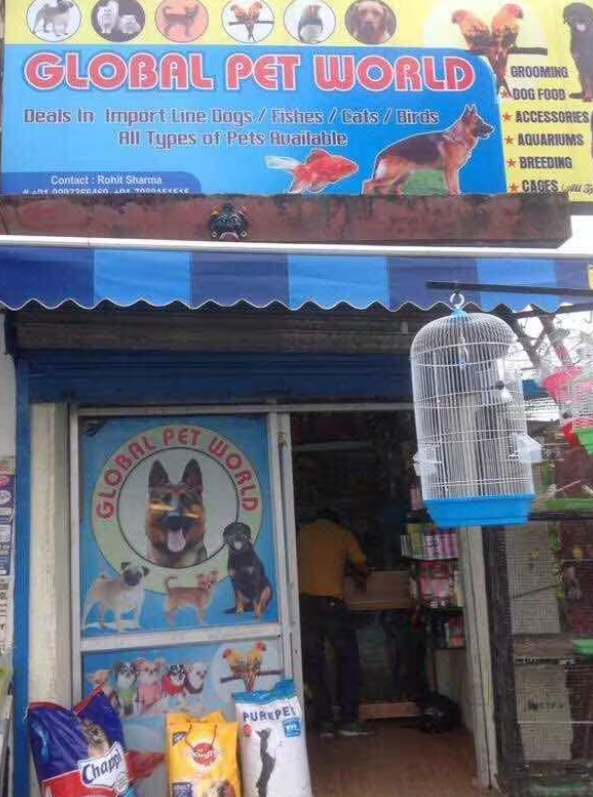 Global Pet World