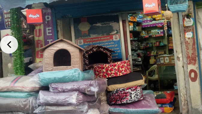 Global Pet World
