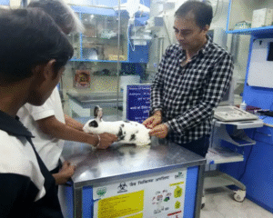 dr-ajay-rana1_1200x800