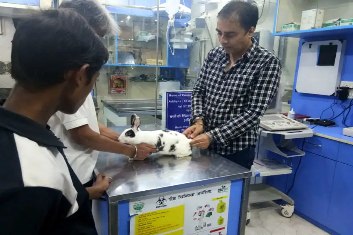 New Delhi Veterinary Clinic – Dr. Ajay Rana