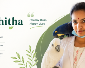 Nikshitha-Poster