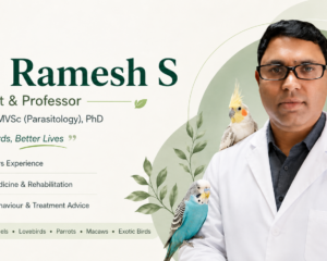 Dr-Ramesh-S-Profile-Banner-Verified